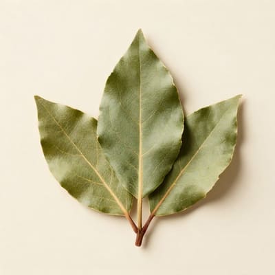 Bay Leaf