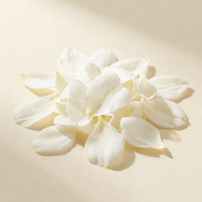 Jasmine Petals